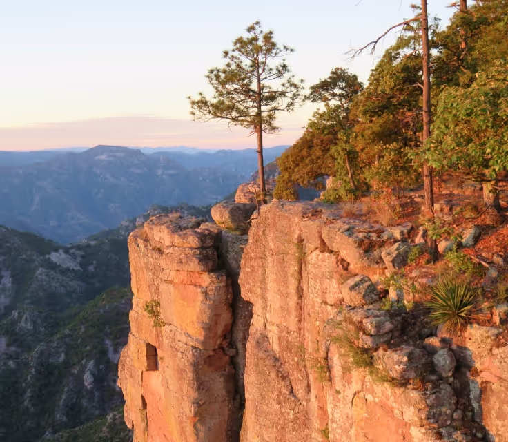 Copper Canyon