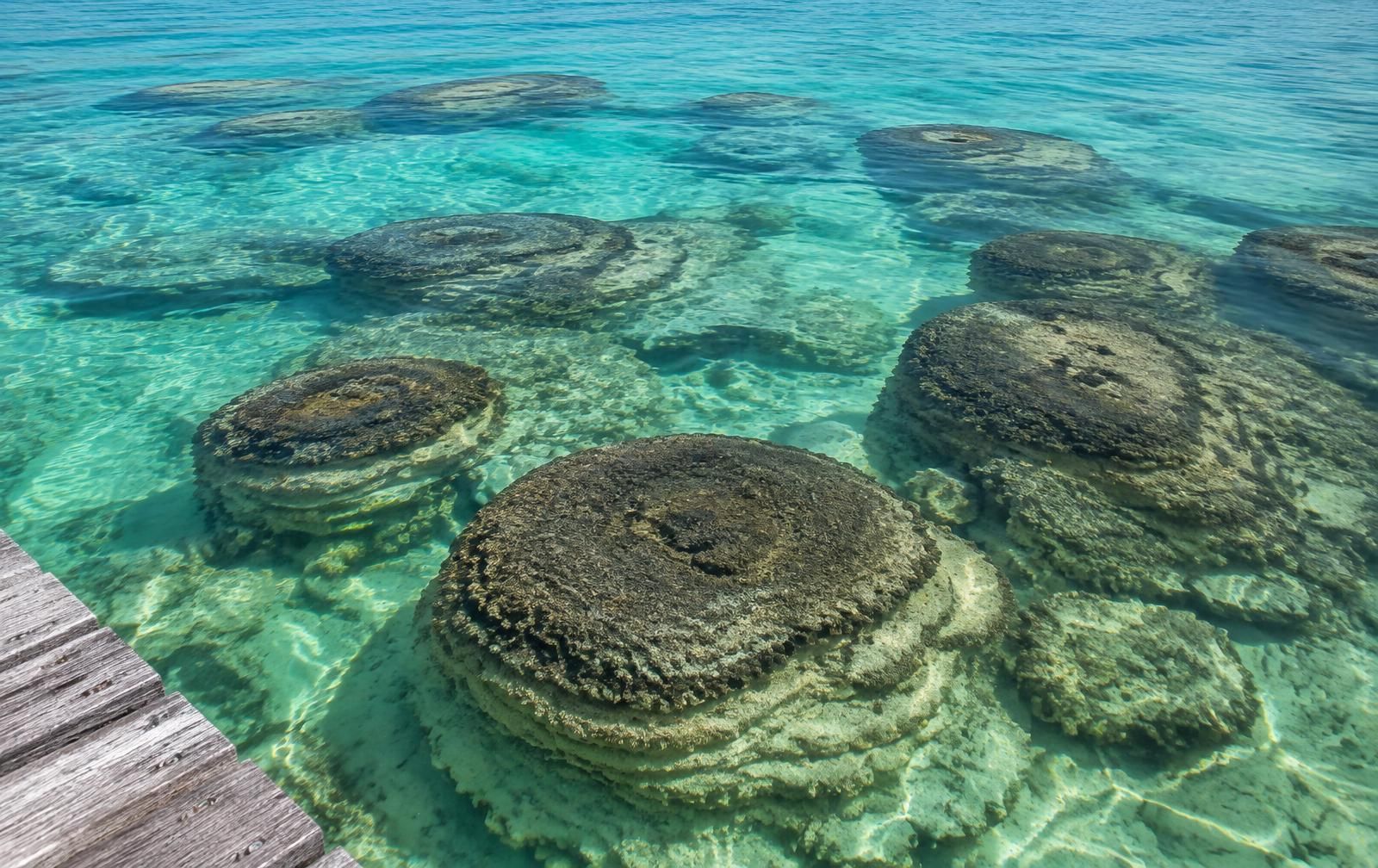 Stromatolite protection