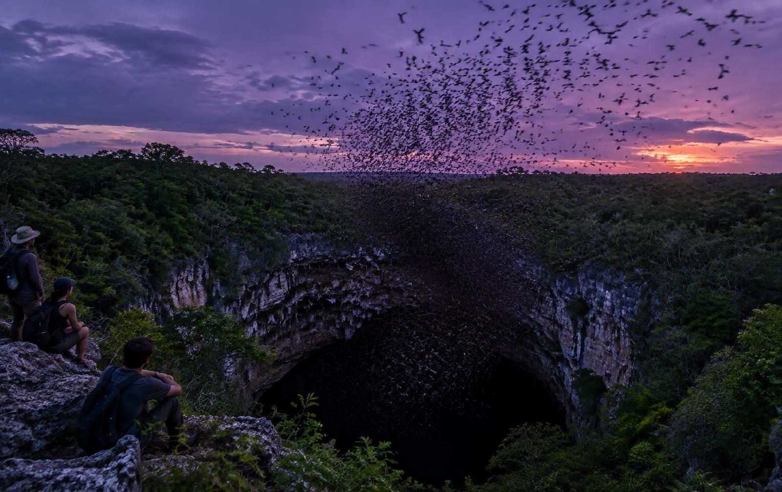 Watch millions of bats leave their cave.
