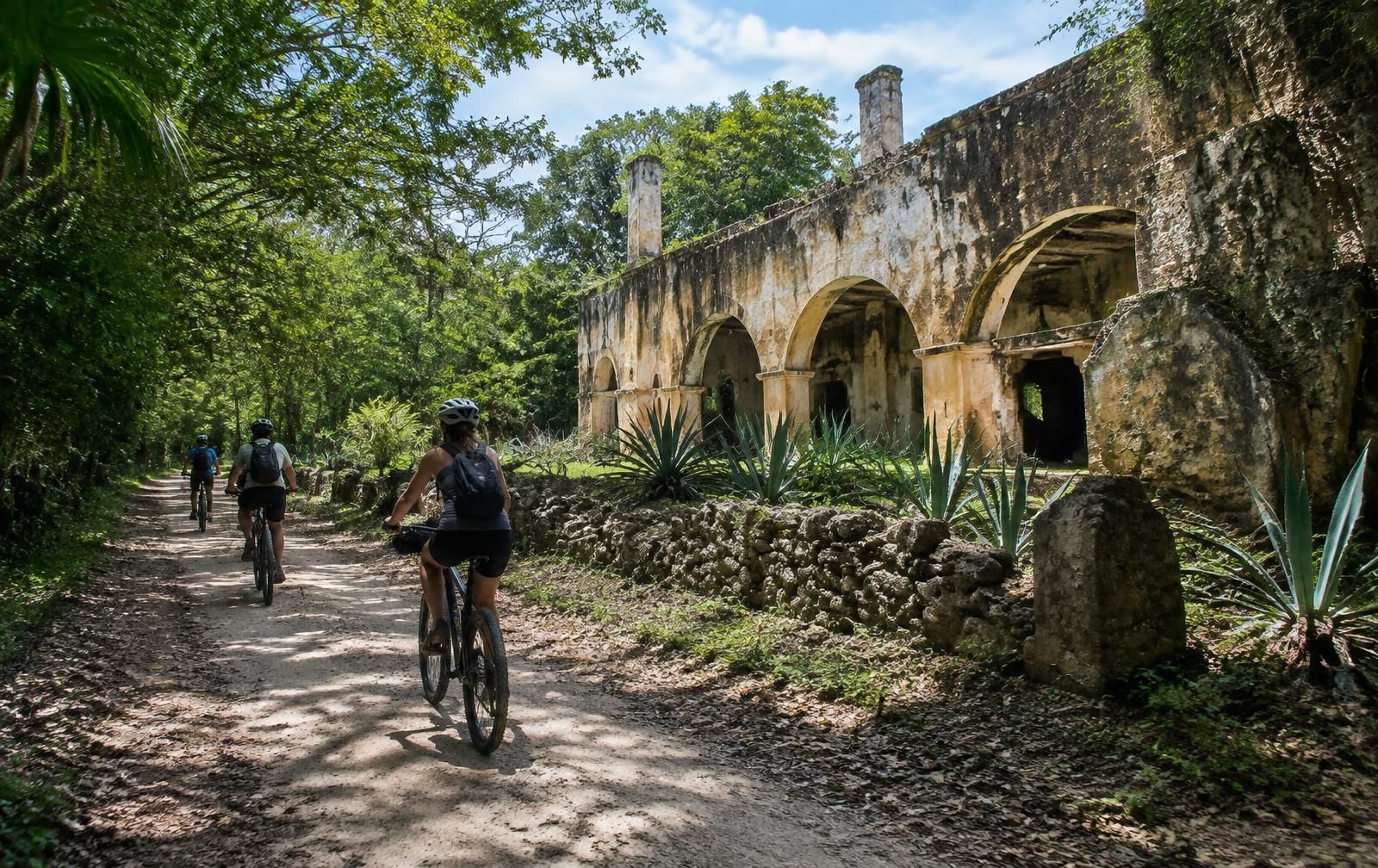 Cycle to cenotes and old henequen haciendas.